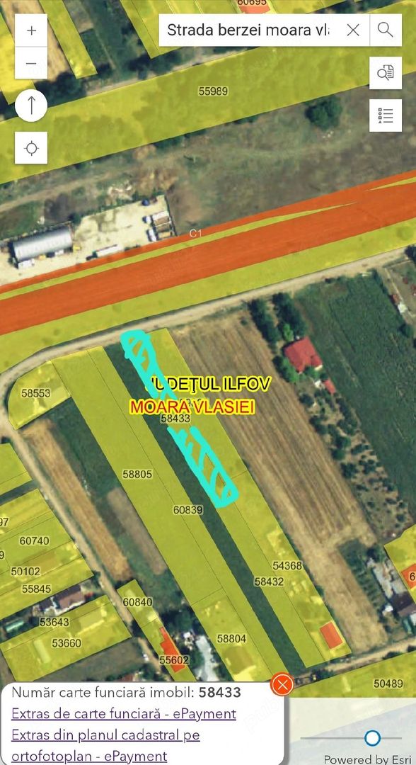 Teren intravilan 1.000 mp | Moara Vlăsiei | Strada Berzei - Poză 10