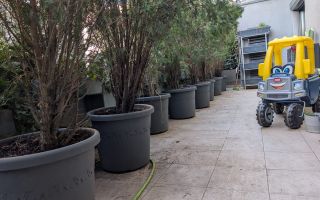 Apartament, 64 m², - Poză 15