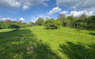 TEREN INTRAVILAN 2943 MP CAMPULUNG - Poză 1
