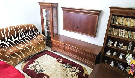 Casa individuala zona centrala - Facultatea de mecanica