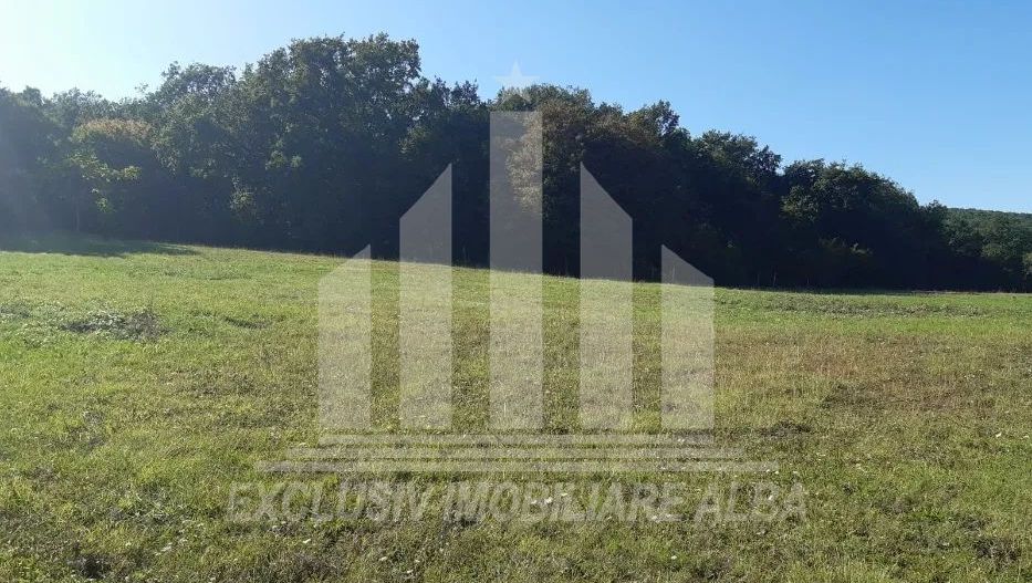 Teren intravilan de vanzare, Micesti - Poză 3