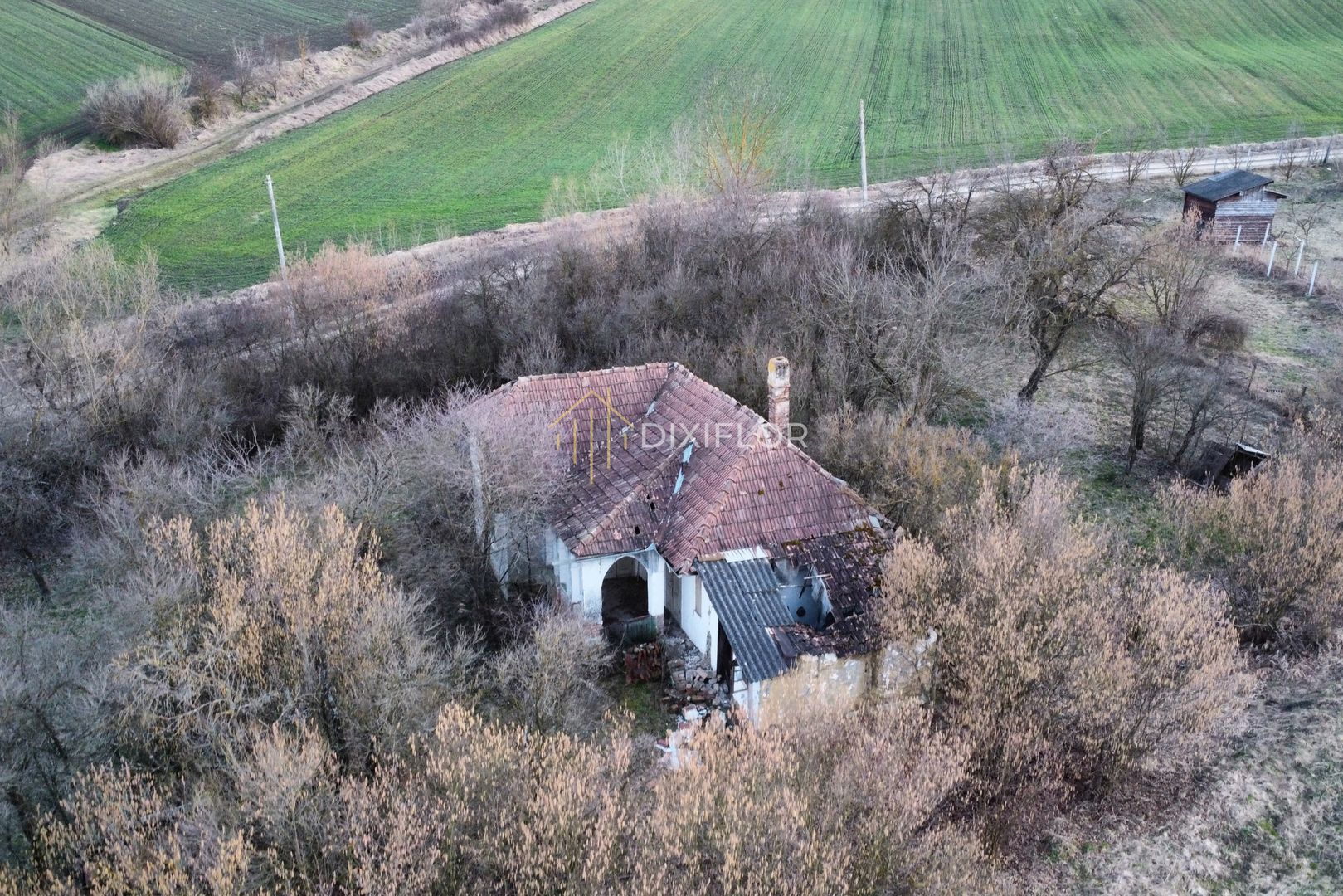Teren agricol parțial intravilan | Ceuașu de Câmpie - Poză 3