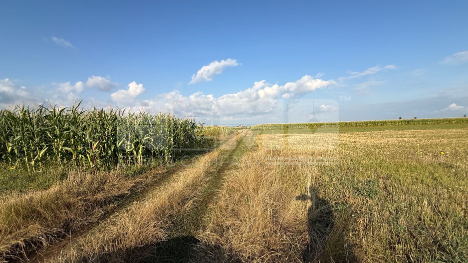 Teren extravilan de vânzare | Horodnic de Sus | 45 Ari - Poză 1