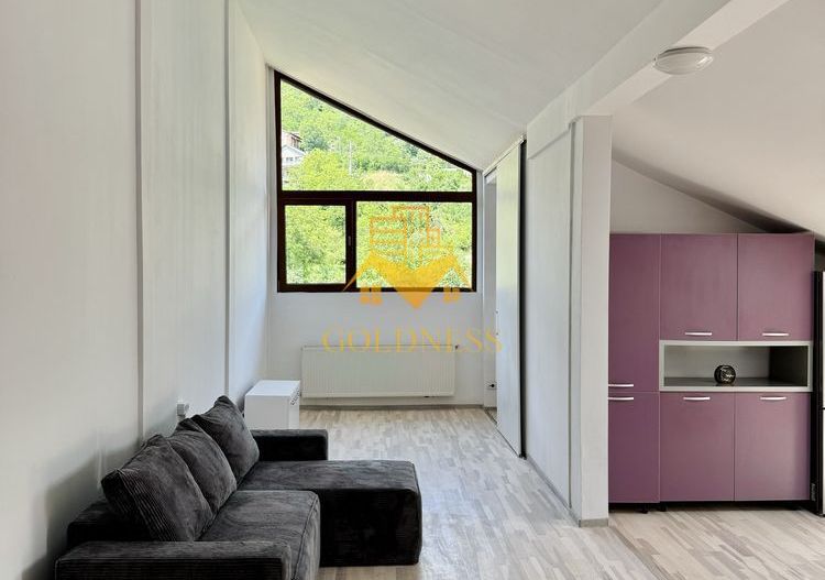 2 camere, Grigorescu, Donath, FESM, Iuliu Hațieganu, Pet Friendly - Poză 3