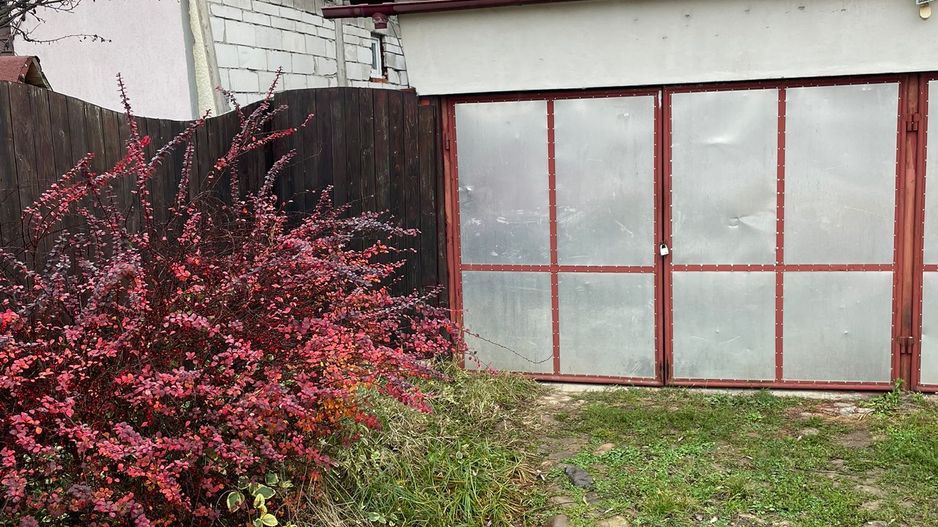 Casa Beius - Poză 20