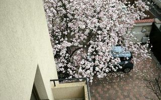 Polona - Dorobanti Apartament 3 camere - Poză 10