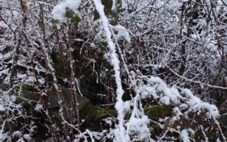 Teren cu izvor de apă minerală  Dangești, Punctul Valea Mare - Poză 24