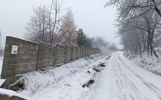 Teren de vanzare Adâncata - Poză 3