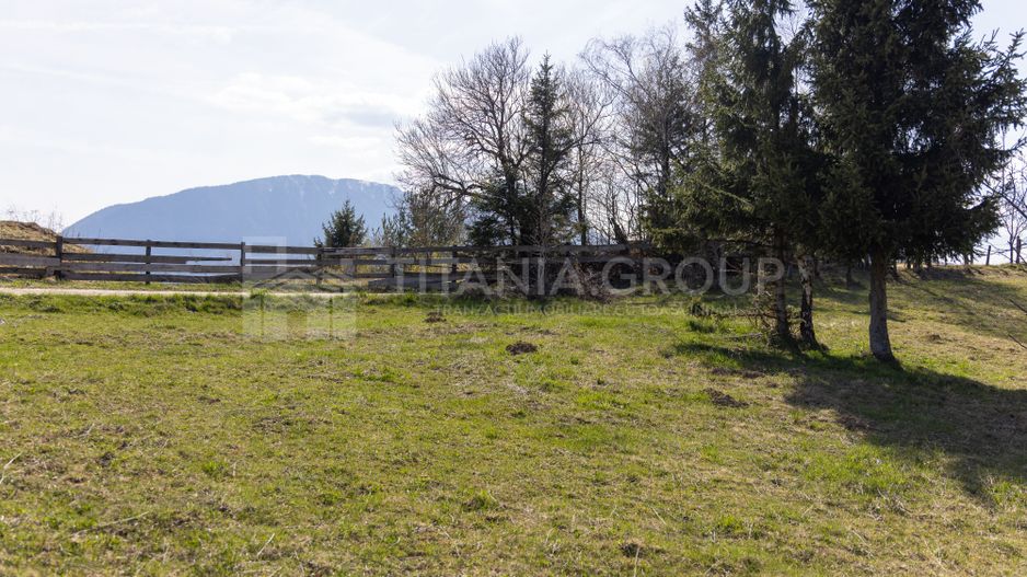 Teren intravilan în Poiana Mărului, 3.791 mp cu priveliste panoramica - Poză 26