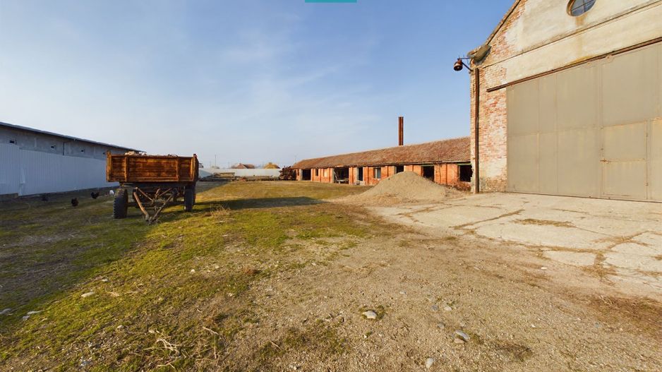 Teren și hale pe calea Aradului în Periam - Poză 11