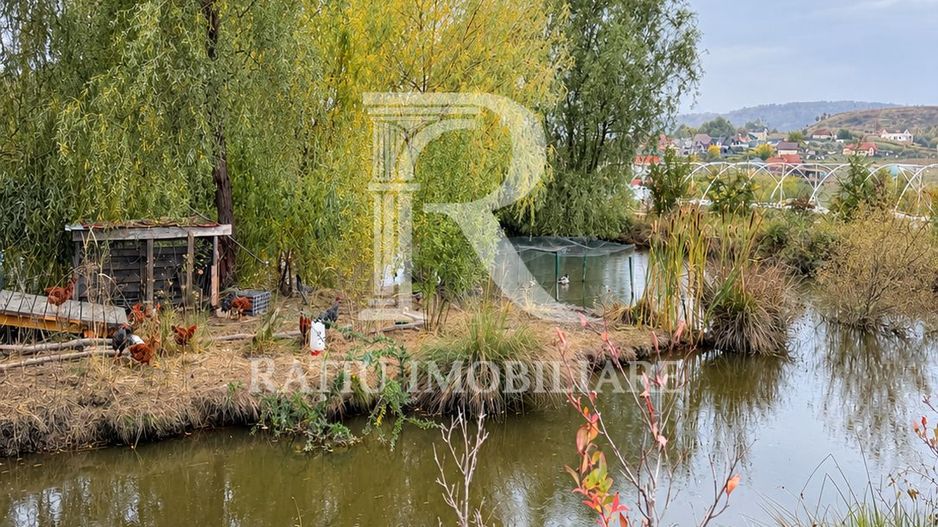 Afacere agricolă la cheie | Plantație afine | Solarii | 18.800 mp - Poză 2