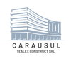 Tealex Construct & Napoca Invest Construct - Logo