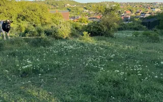 ⭐  Teren de 2.700 mp cu front generos – Ocazie în Oncea - Poză 12