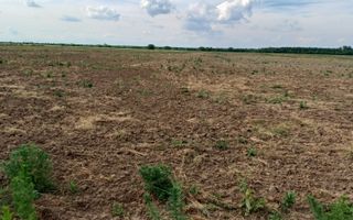 Teren intravilan de vanzare | Peris | 10.000 mp | Investitie sigura - Poză 8