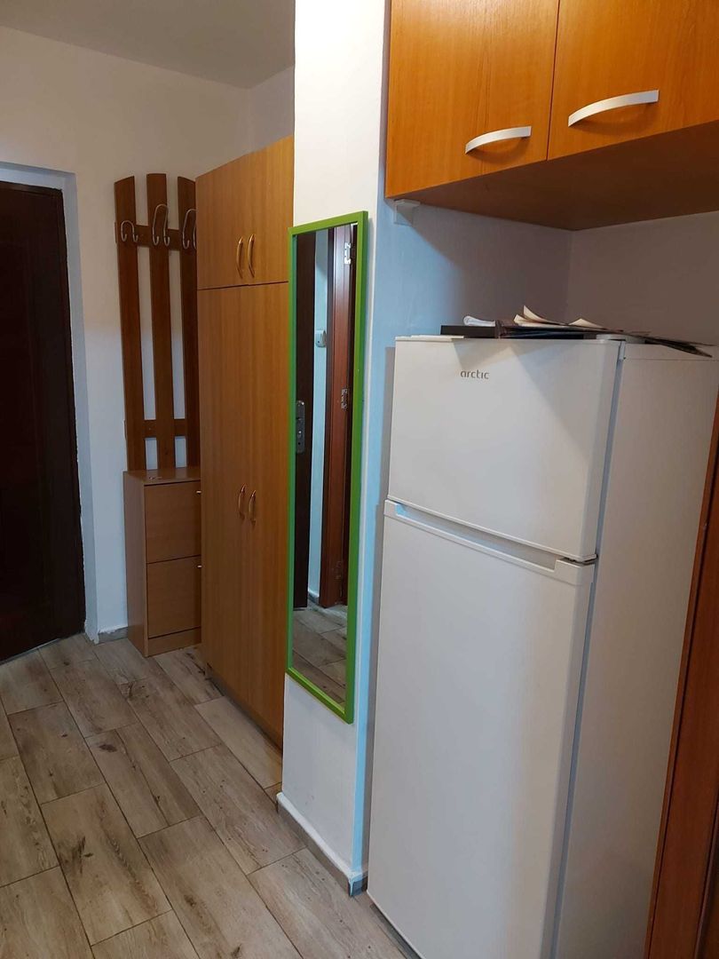 Garsoniera pet friendly, 1 min metrou Costin Georgian, etaj 1, modernă - Poză 4