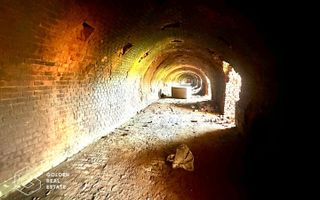 Teren intravilan 71.000mp, Barsa, Renumita Fabrica de caramida si casa 4 camere - Poză 4