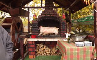 VILA - PENSIUNE CU RESTAURANT + SI TEREN 6406 MP, VALEA MARE PRAVAT, - Poză 19