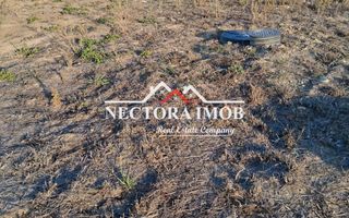 NECTORA IMOB-Teren Intravilan Cartier GRIGORESCU, 486 mp, Utilitati - Poză 5