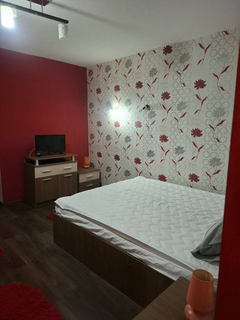 Garsoniera- Lapus - Poză 4