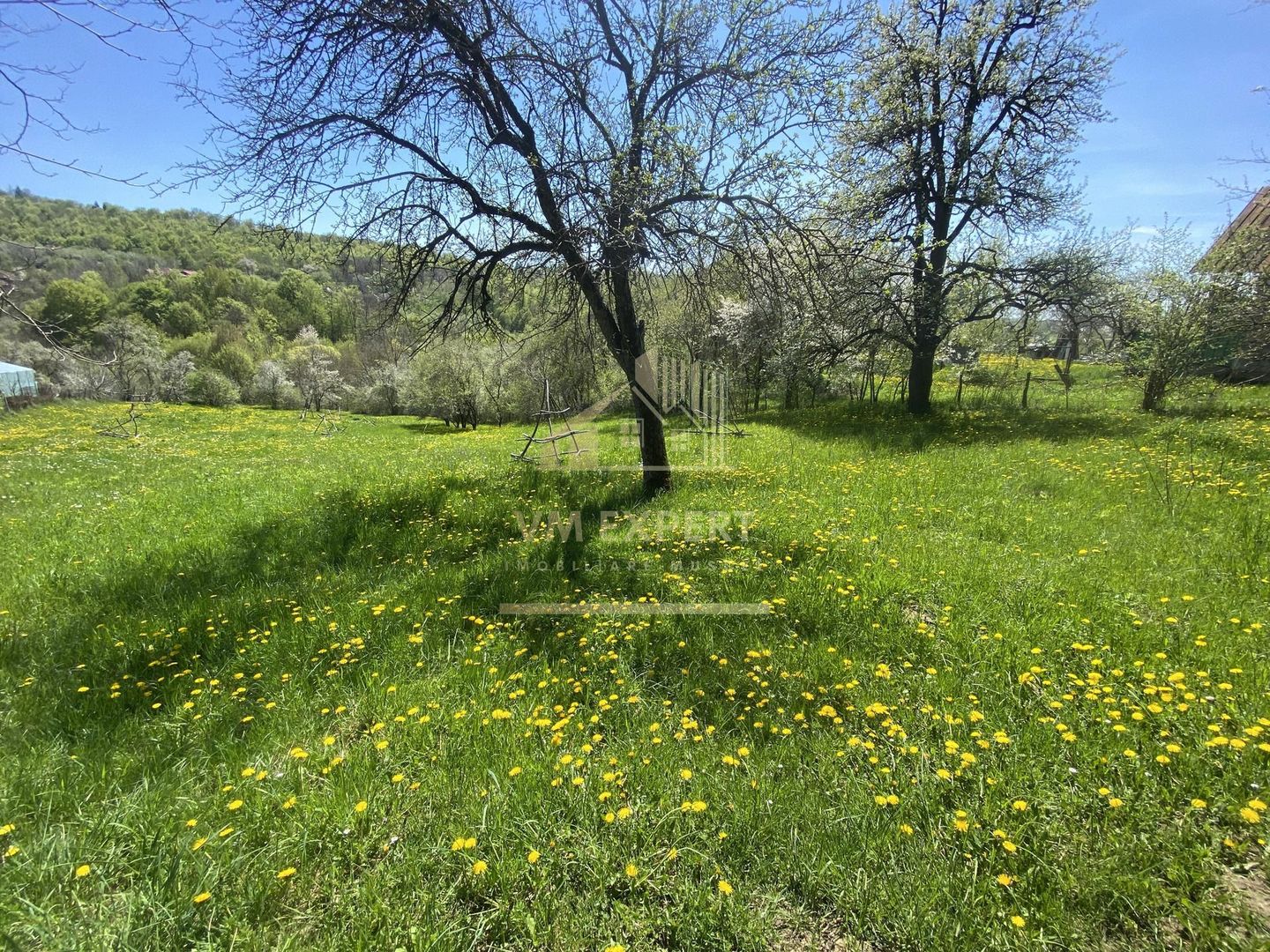 TEREN INTRAVILAN 3265 MP, VALEA MARE PRAVAT, ARGES - Poză 3