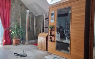 INCHIRIERE -2 VILE -ZONA MOGOSOAIA - Poză 39