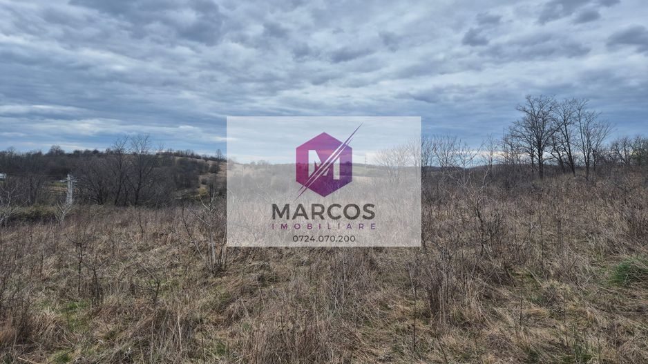 Vand 2 parcele de 5700 mp zona Iabalcea - Poză 7