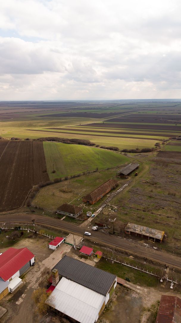 Fermă cu teren intravilan de 35000 mp în Mișca - Poză 17