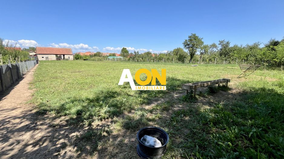 Teren Împrejmuit, 3514mp, Asfalt, Ciugud - Poză 3