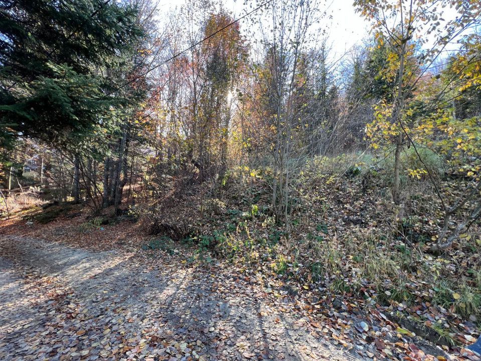 Teren 500 metri - central Sinaia - ideal constructii (COMISION ZERO) - Poză 3