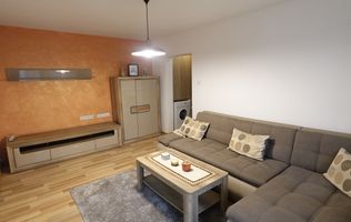 Apartament cu  2 camere de vanzare str Victor Babes