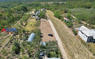 AZURA Imobiliare - Teren Mosoaia Dealul Viilor langa Padure - Poză 7