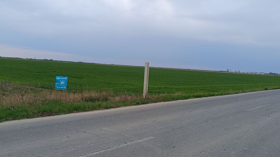 Teren extravilan 5 hectare ( zonă industrială ) Șag - Poză 13