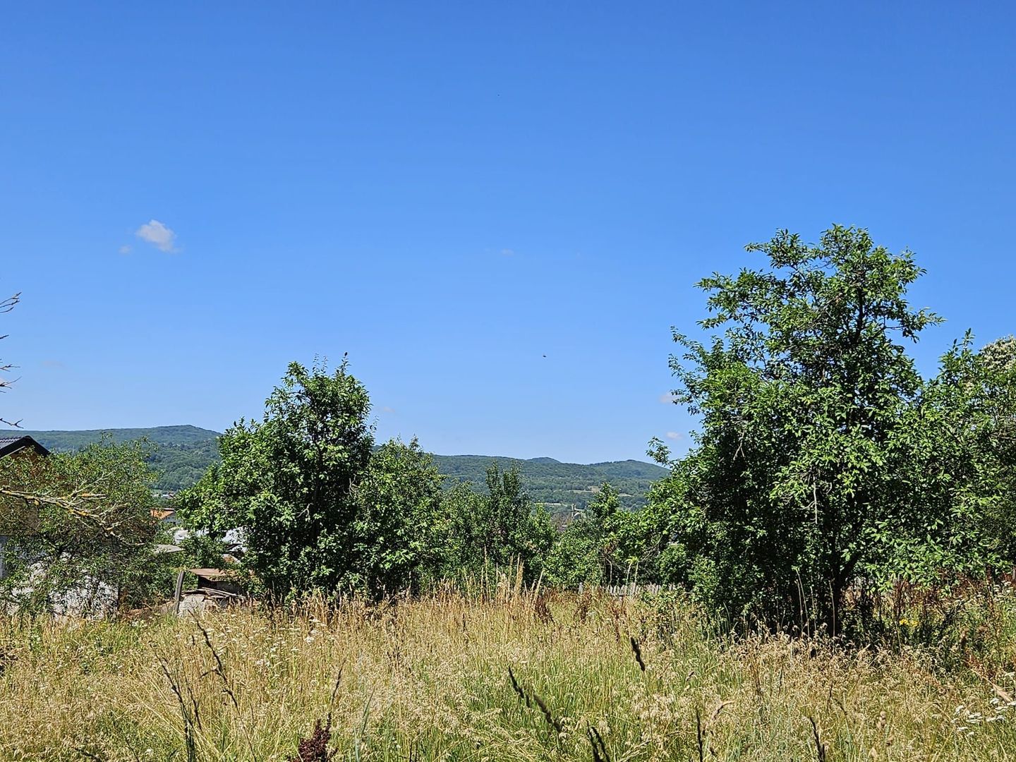 Vanzare teren intravilan, Zigoneni - Curtea de Arges - Poză 8