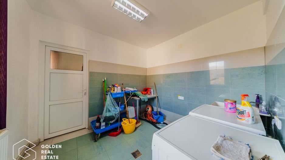 Proprietate pretabila pentru afacere, Cladova - Poză 19