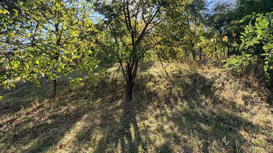 Casa de vanzare 1500 mp Cugir zona linistita - Poză 11