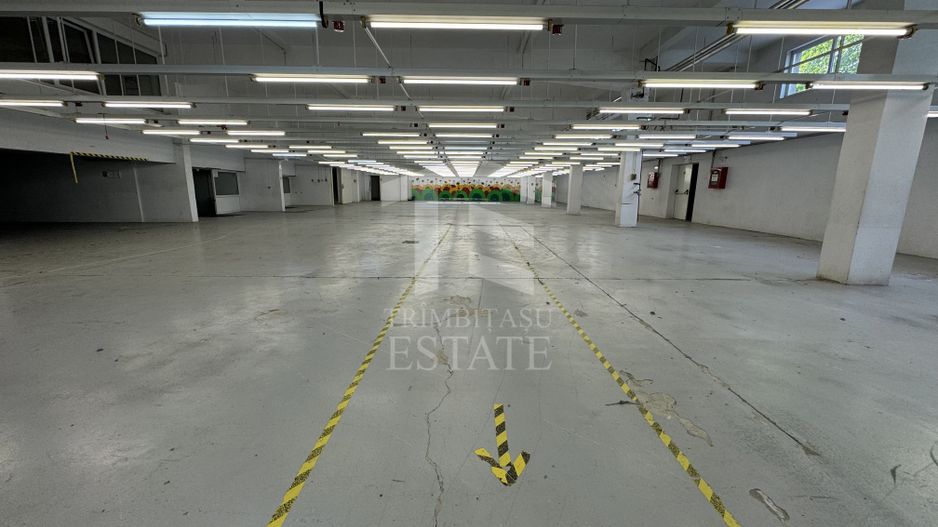 Hala productie P+1 si apartament de serviciu Navodari - c-tie beton - Poză 6