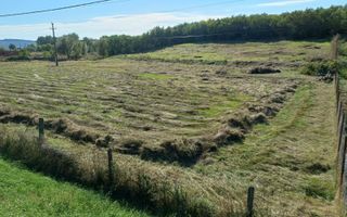 Teren intravilan 1 ha de vânzare în comuna Țigănași, la 22 km de Iași, zona Carniceni - Poză 1
