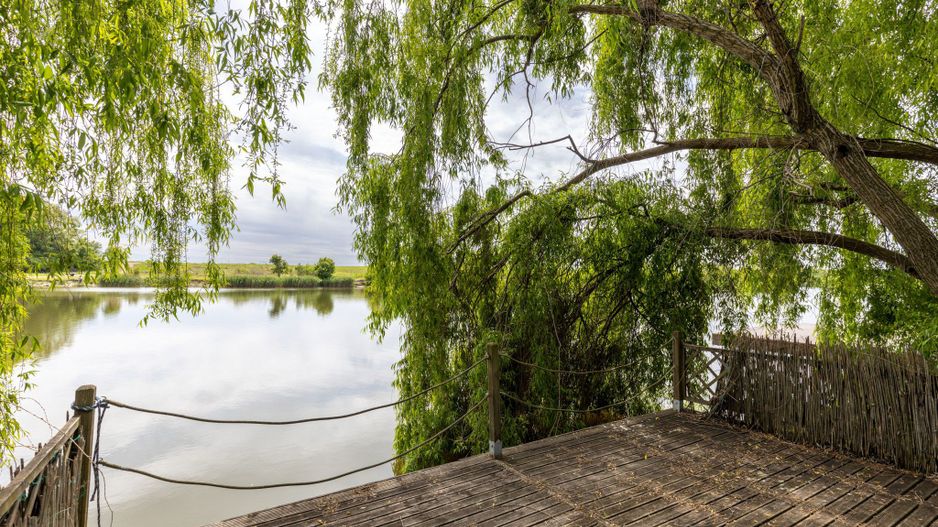 Proprietate deosebita deschidere lac Paradisul Verde Corbeanca - Poză 4