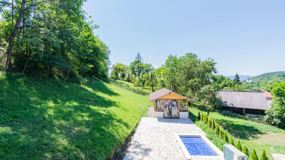 Casa de Vacanta | 5 camere | Foisor | Jacuzzi | teren 4000 m2 | Valeni - Poză 3