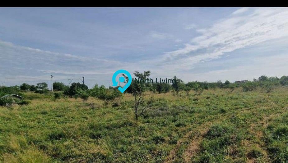 Teren pretabil dezvoltator 6000 mp Domnesti - Poză 1