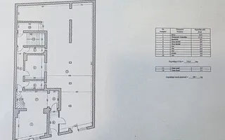 VANZARE - VILA 9 CAMERE  - Vasile Lascar, Mihai Eminescu, Bd. Dacia - Poză 27
