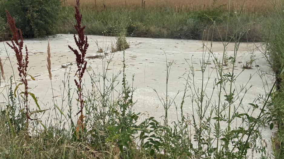 TEREN VIDRA BERCENI 307 MP - Poză 3