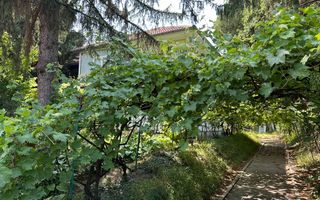 Casa si teren  - Zona Ultracentrala - Poză 8