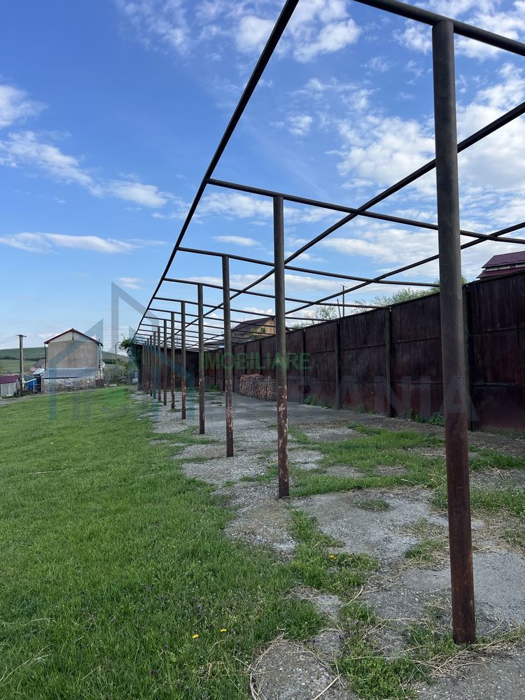 Teren 4000 mp cu casă și construcții anexe, Buhalnița, județul Iași - Poză 8