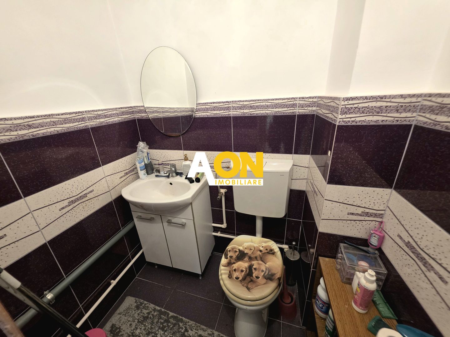 Apartament 3 Camere, Decomandat, Complet Mobilat, Cetate - Poză 9