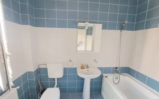 Apartament 2 camere in zona B-dul N.Titulescu! - Poză 11