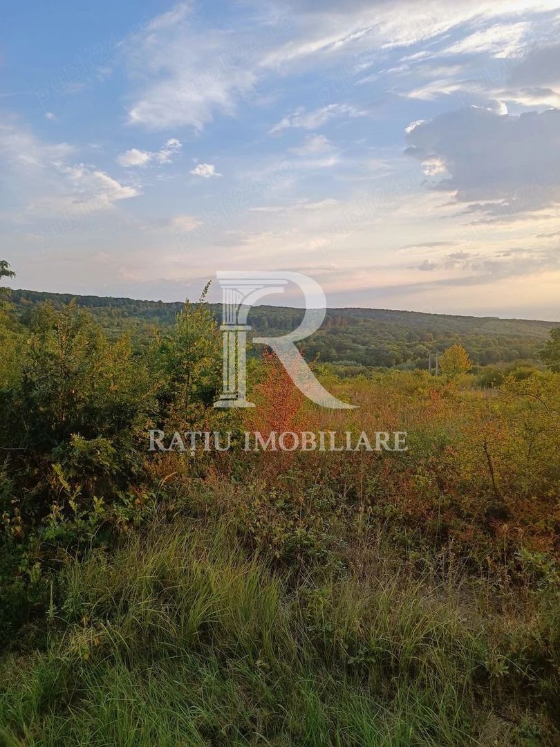 Teren de vanzare | Hidiselul de Sus | Bihor - Poză 5