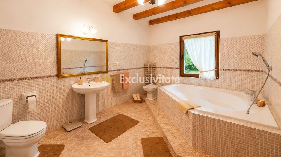 La Dolce Vita-casa vintage/moderna-Somesul Rece - Poză 8