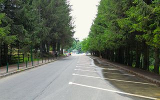 Teren in Poiana Brasov, 1155 mp, strada Poiana Ursului deschidere 21 m - Poză 5