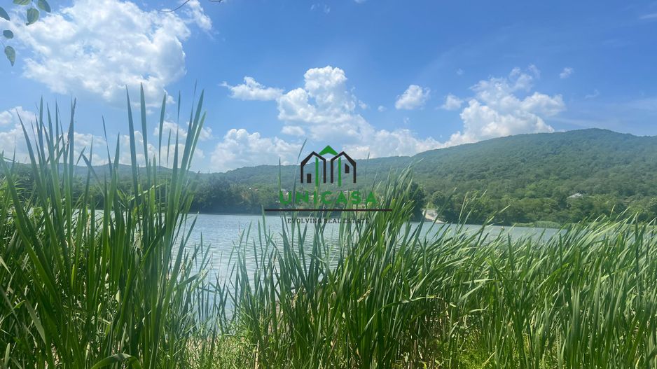 Teren Fedelesoiu/3200 mp/Intravilan - Poză 7